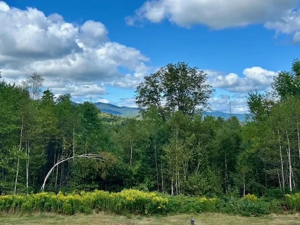 2274 Macintosh Hill Road Bethel VT 05032