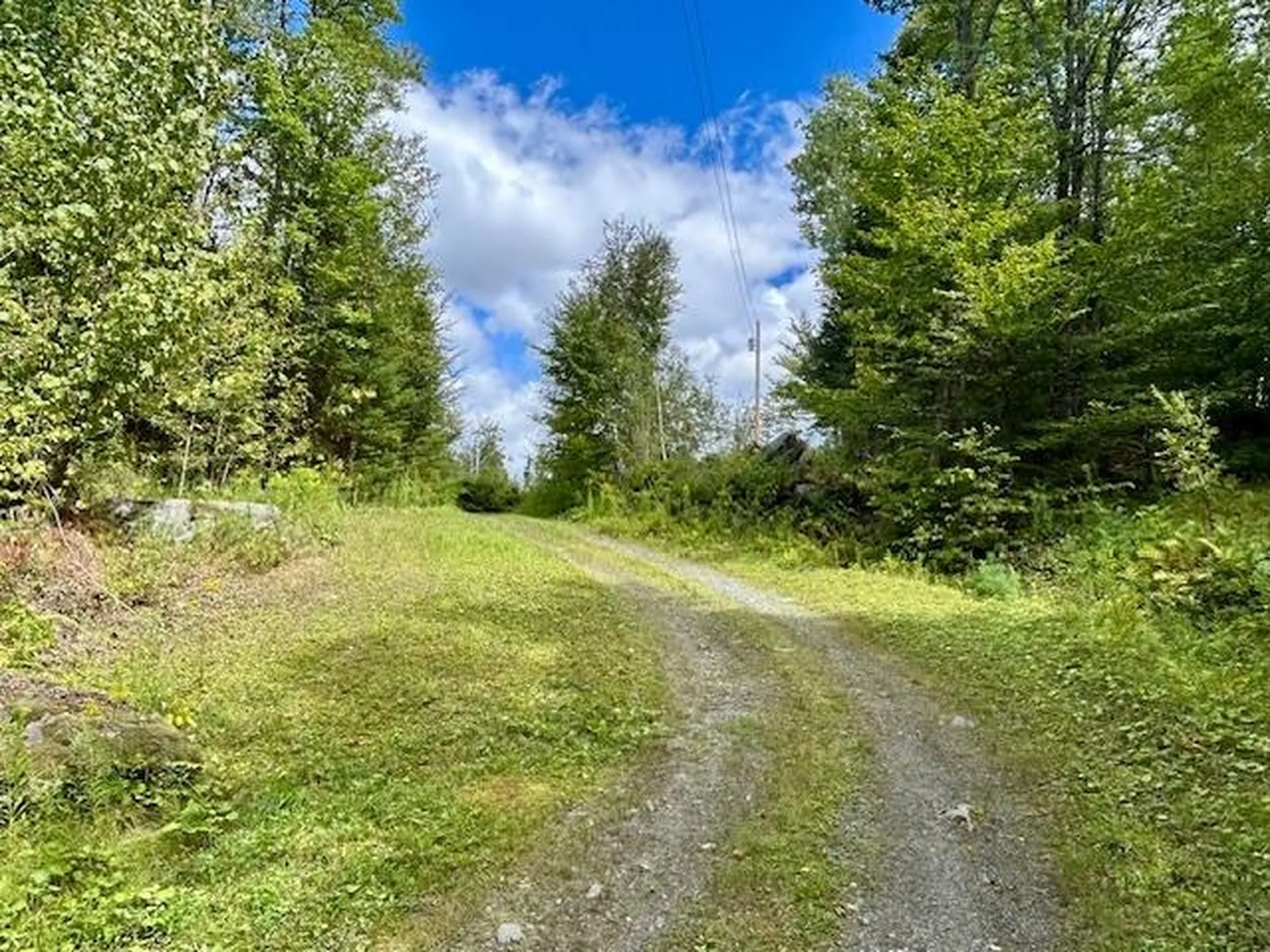 2274 Macintosh Hill Road Bethel VT 05032