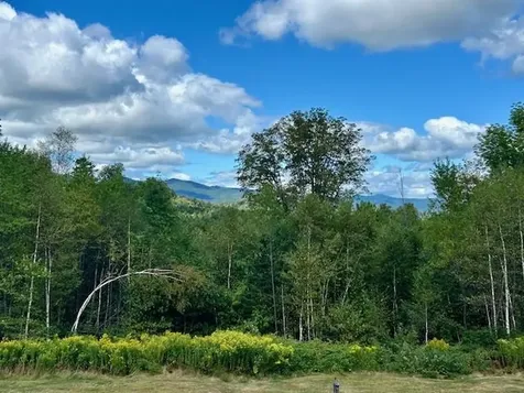 2274 Macintosh Hill Road Bethel VT 05032