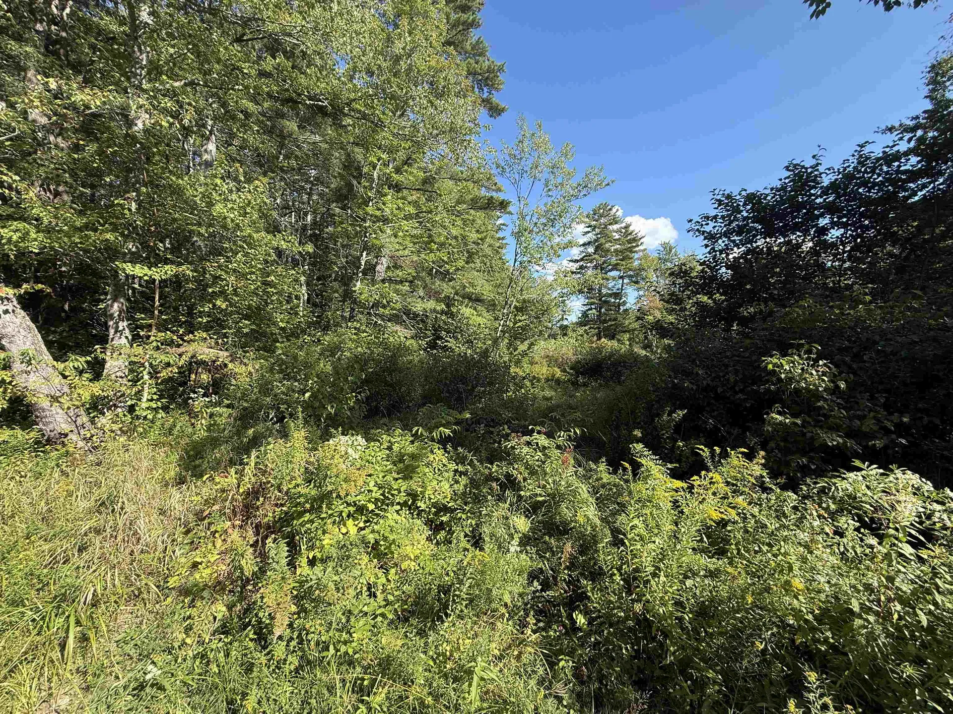 Lot 414-46 Parsonage Hill Road Gilmanton NH 03237