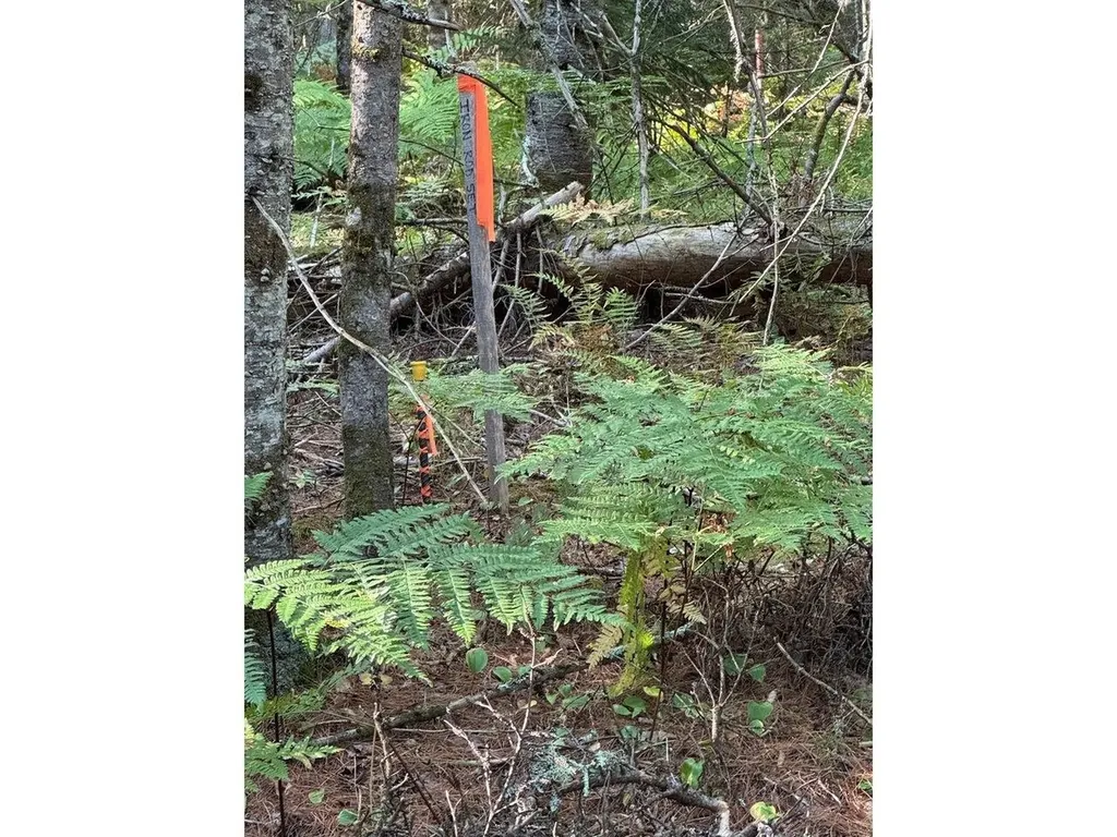 Lot 4 Milo's Place Worcester VT 05682