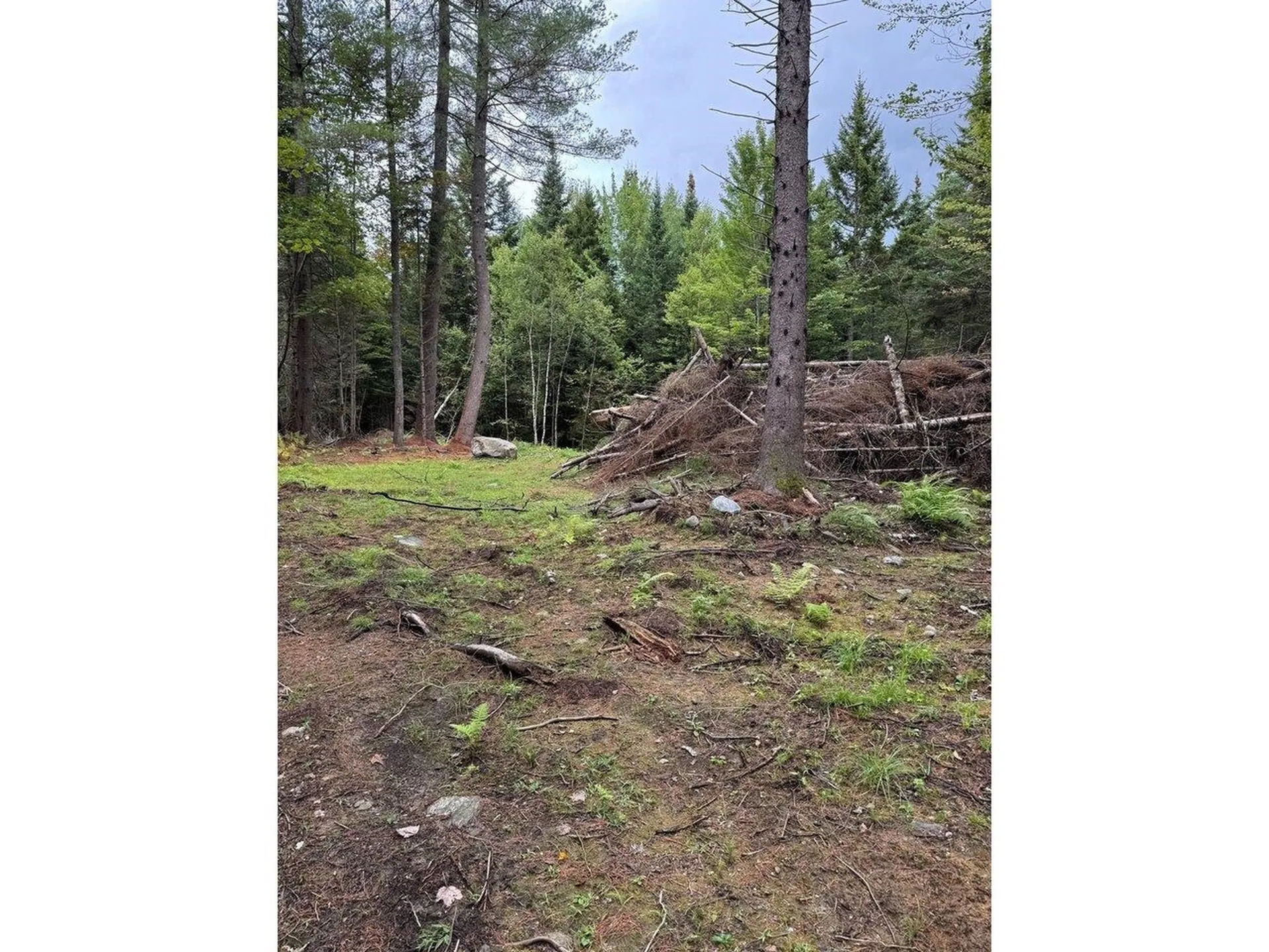 Lot 4 Milo's Place Worcester VT 05682