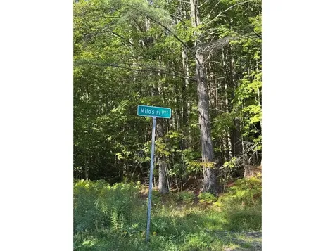 Lot 4 Milo's Place Worcester VT 05682