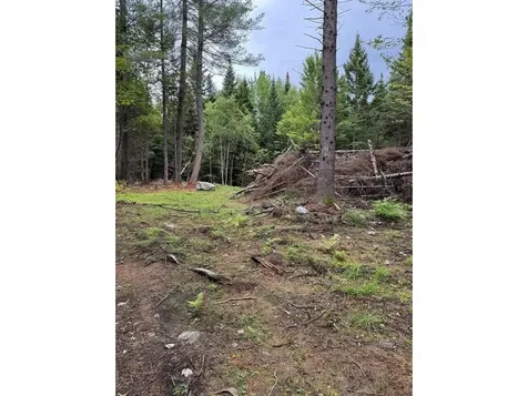 Lot 4 Milo's Place Worcester VT 05682