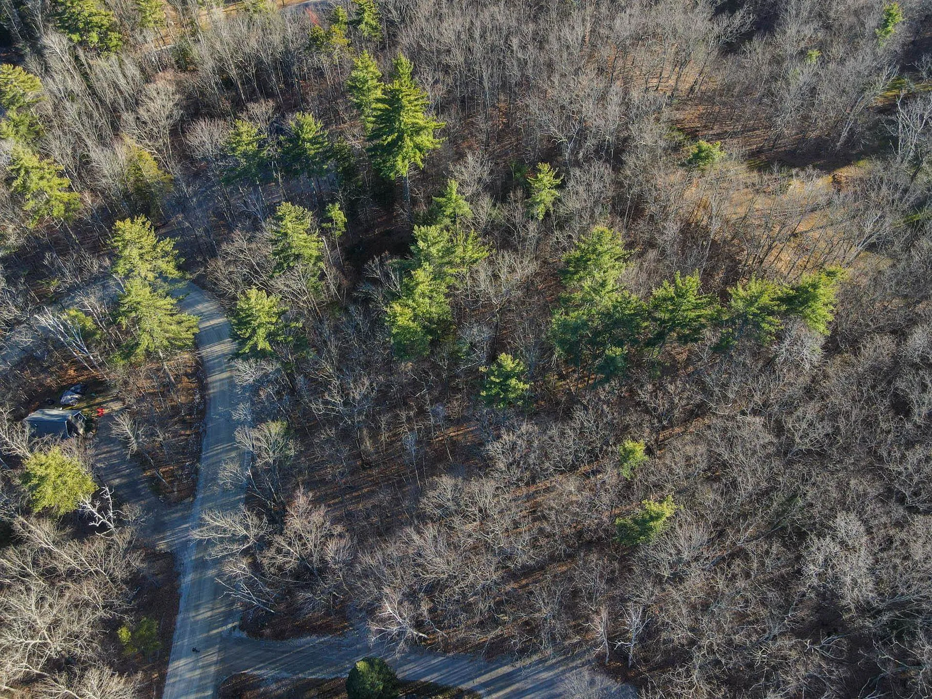 Hemlock Road Bartlett NH 03812