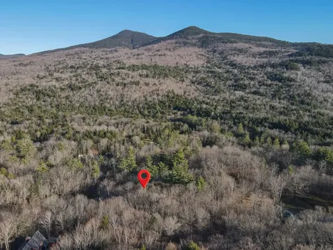 Hemlock Road Bartlett NH 03812