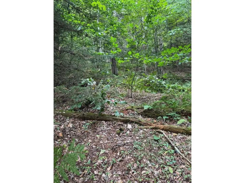 Lot 5 Milo's Place Worcester VT 05682