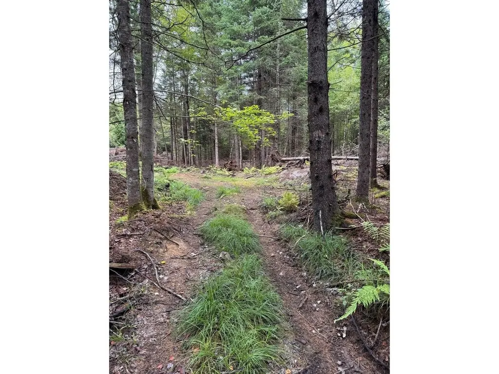 Lot 5 Milo's Place Worcester VT 05682