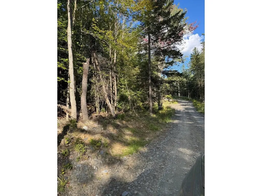Lot 5 Milo's Place Worcester VT 05682