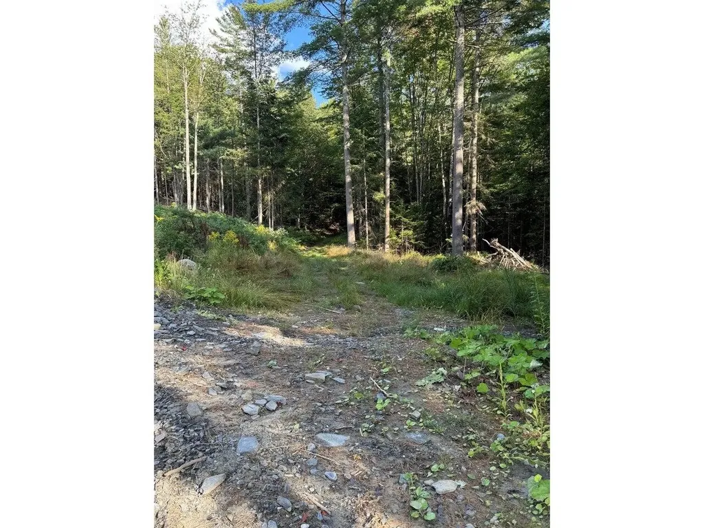 Lot 5 Milo's Place Worcester VT 05682
