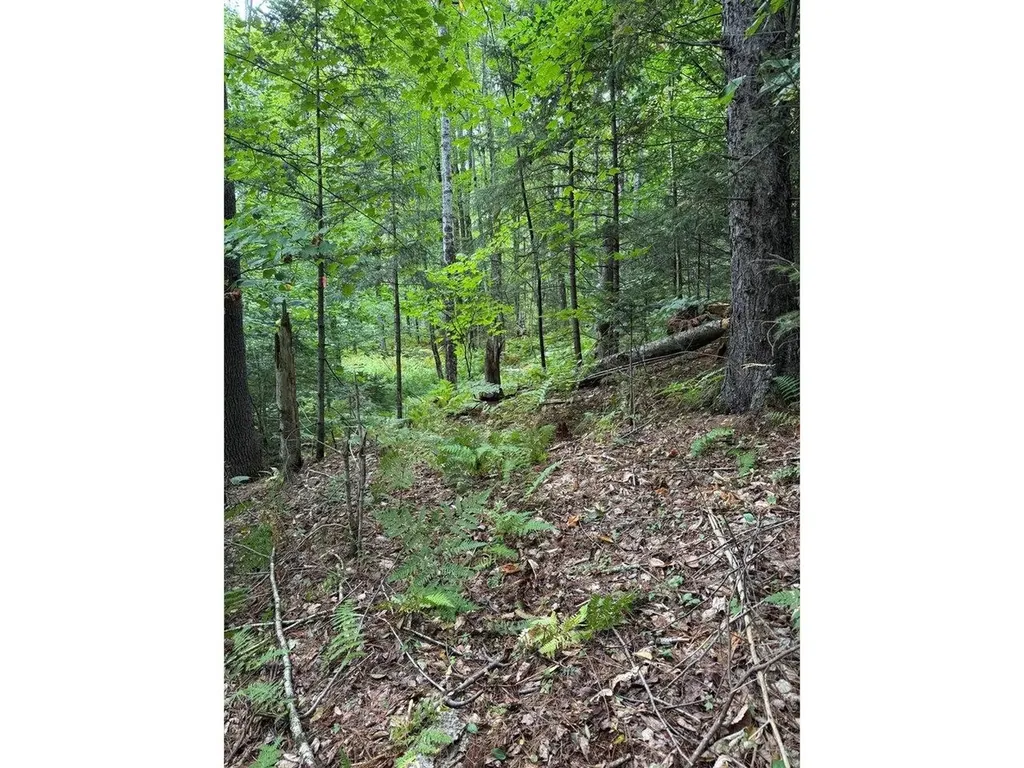 Lot 5 Milo's Place Worcester VT 05682