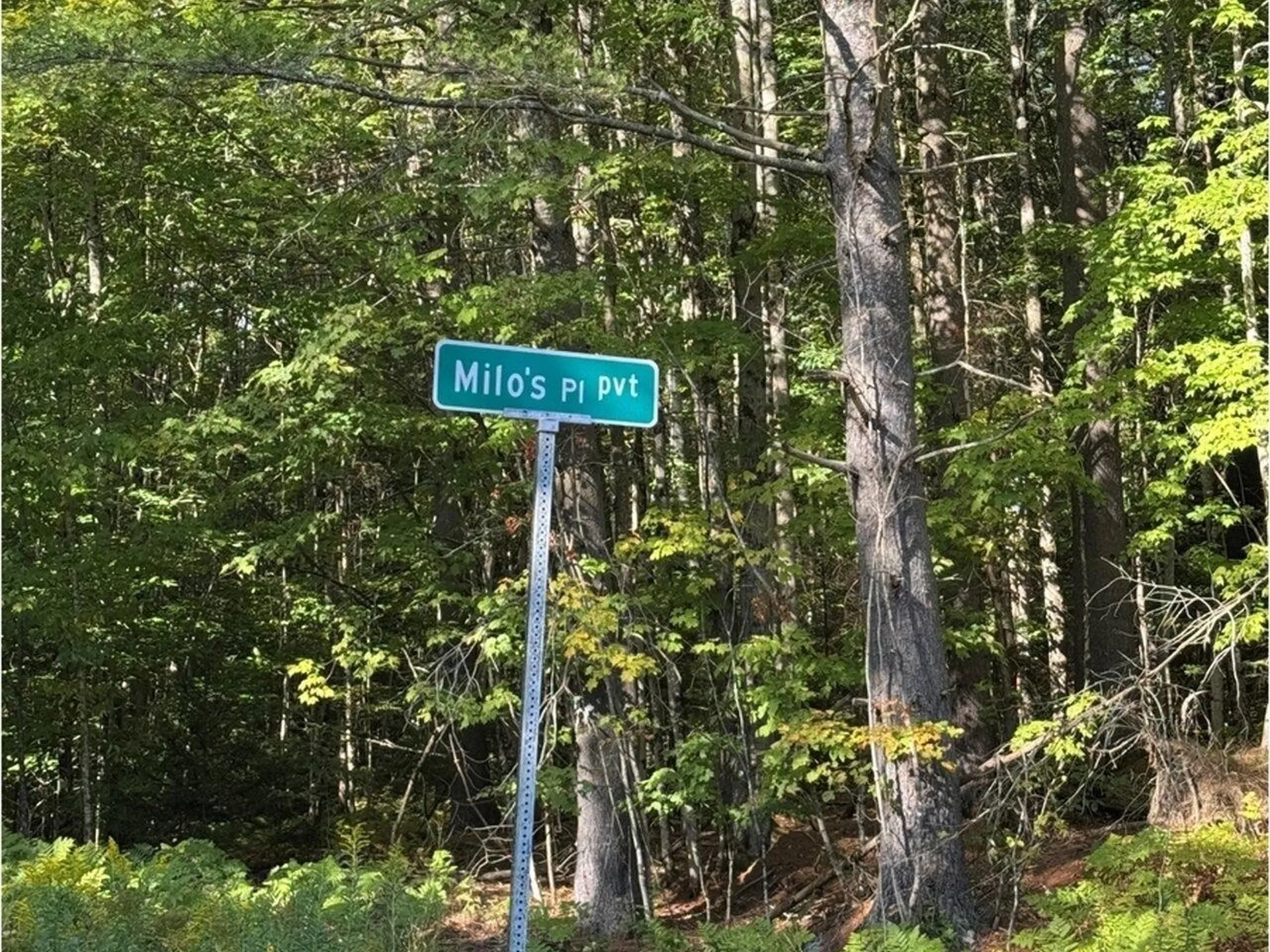 Lot 5 Milo's Place Worcester VT 05682