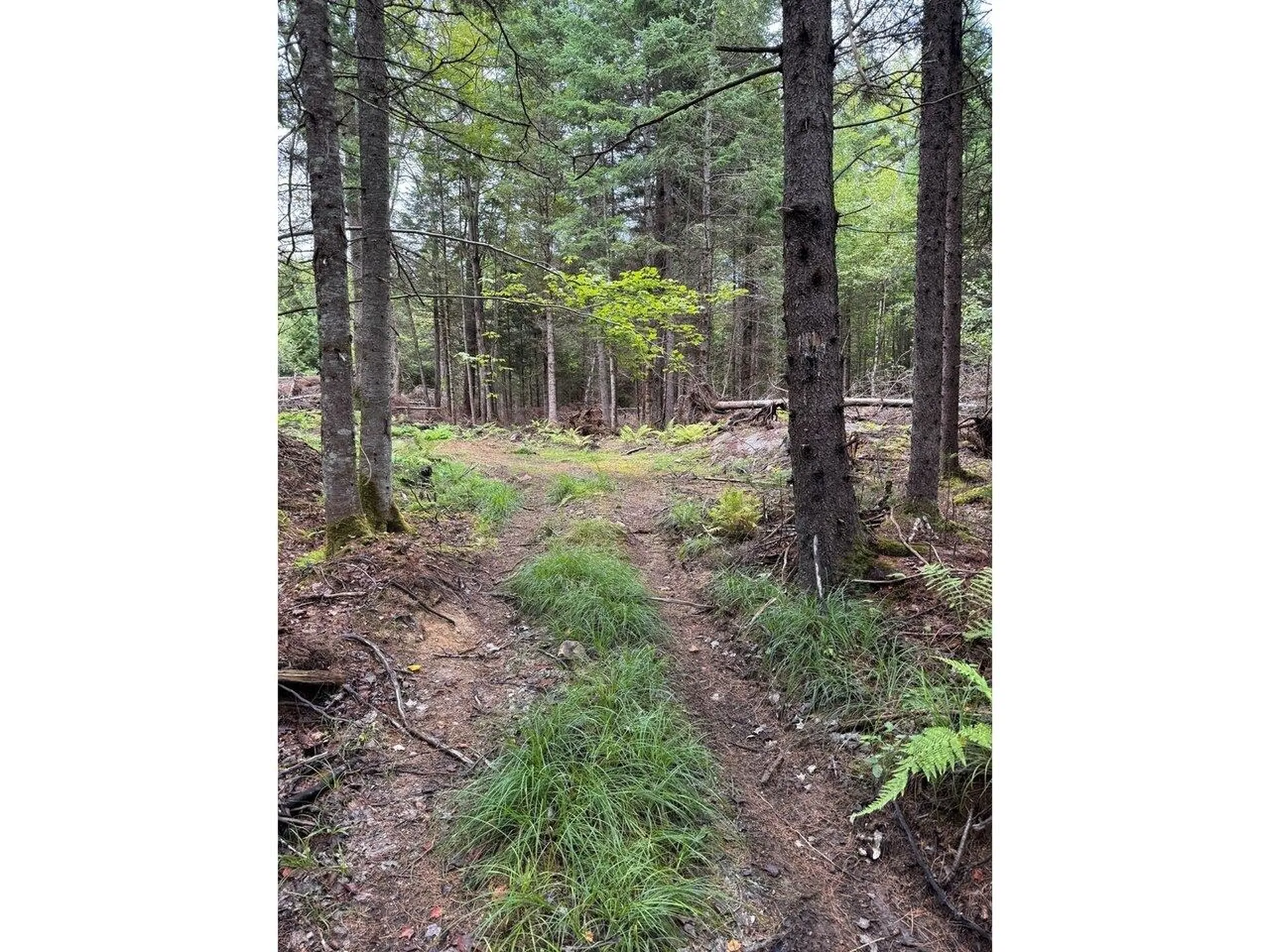 Lot 5 Milo's Place Worcester VT 05682