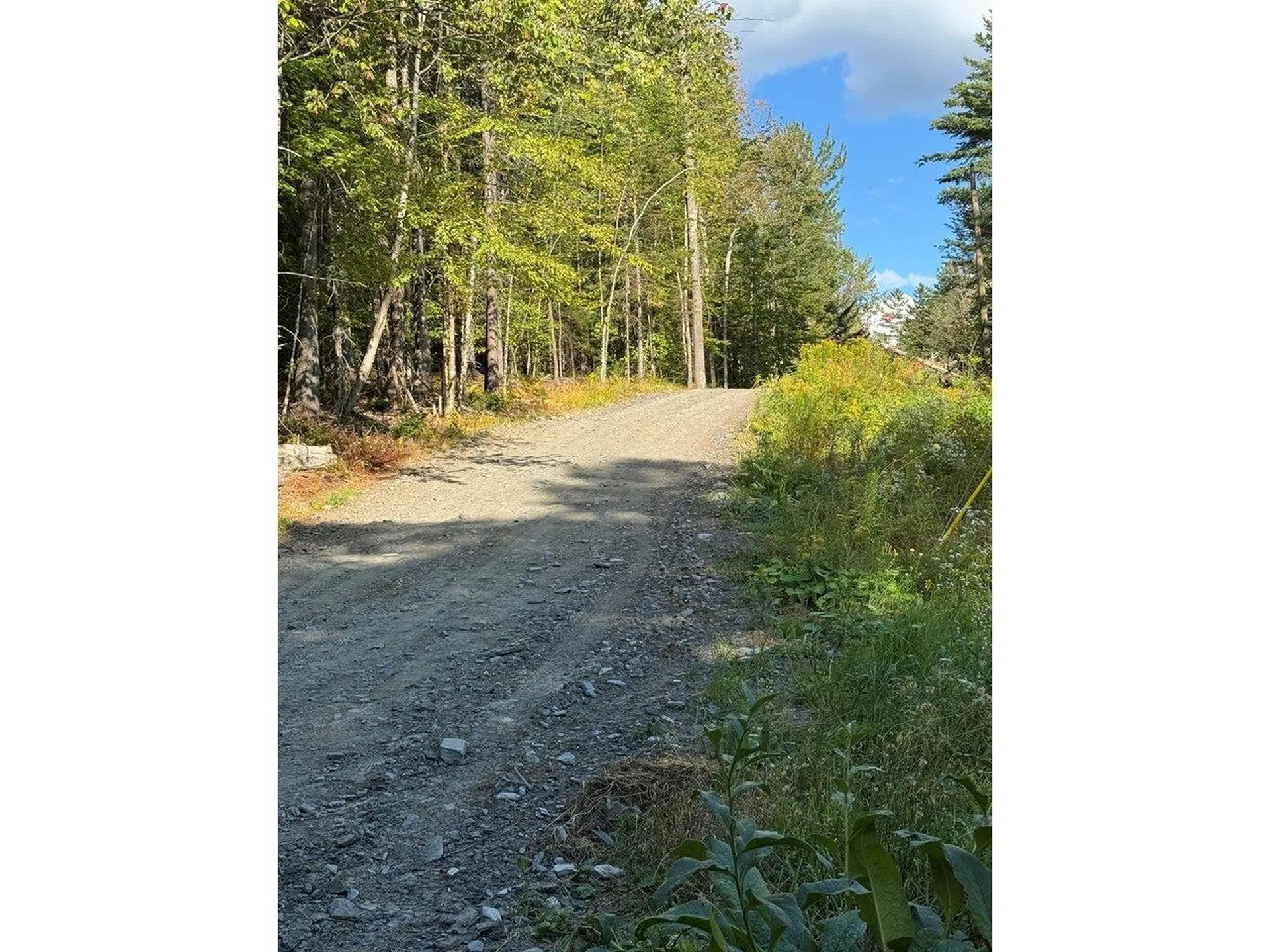 Lot 5 Milo's Place Worcester VT 05682