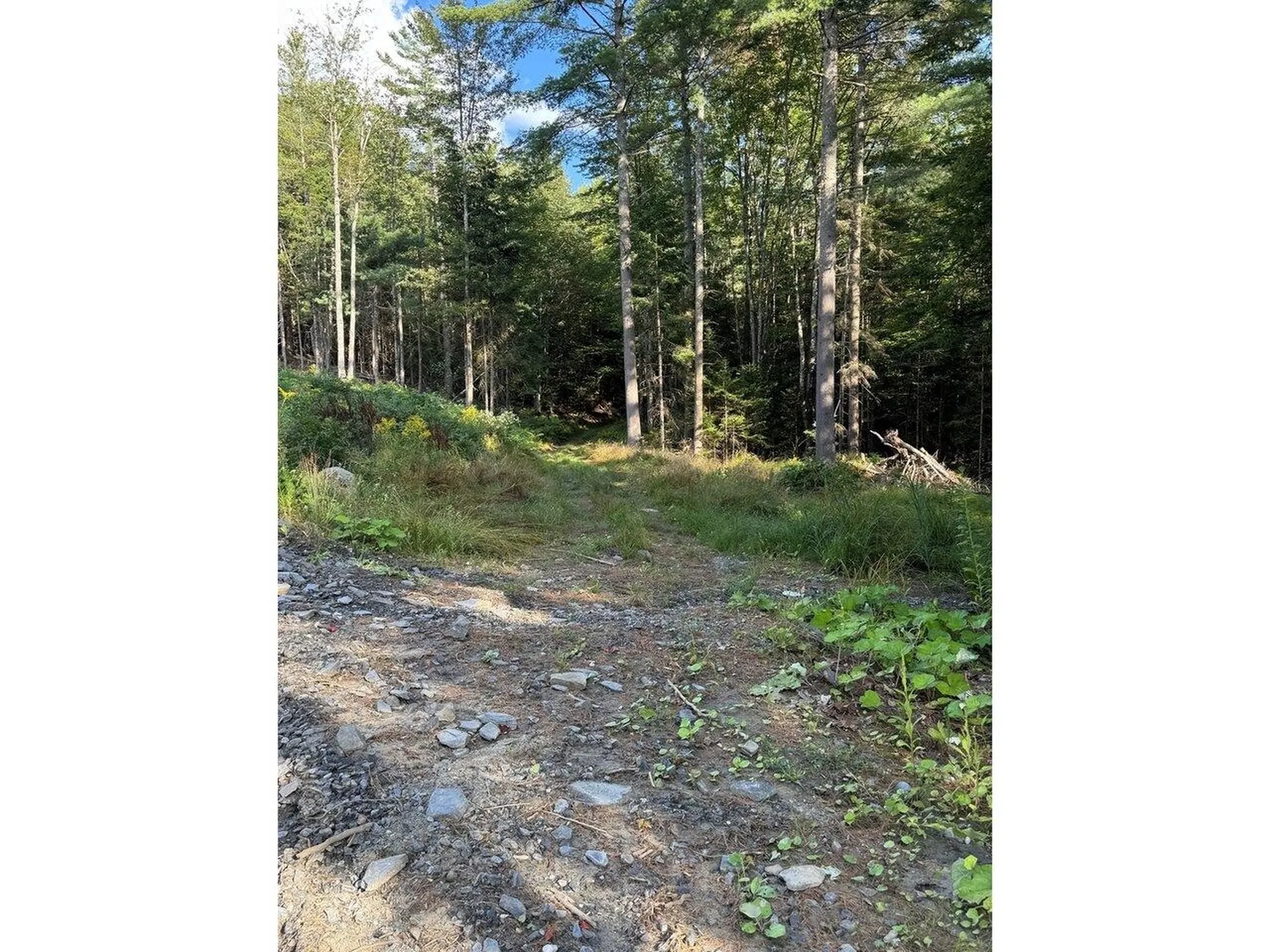 Lot 5 Milo's Place Worcester VT 05682