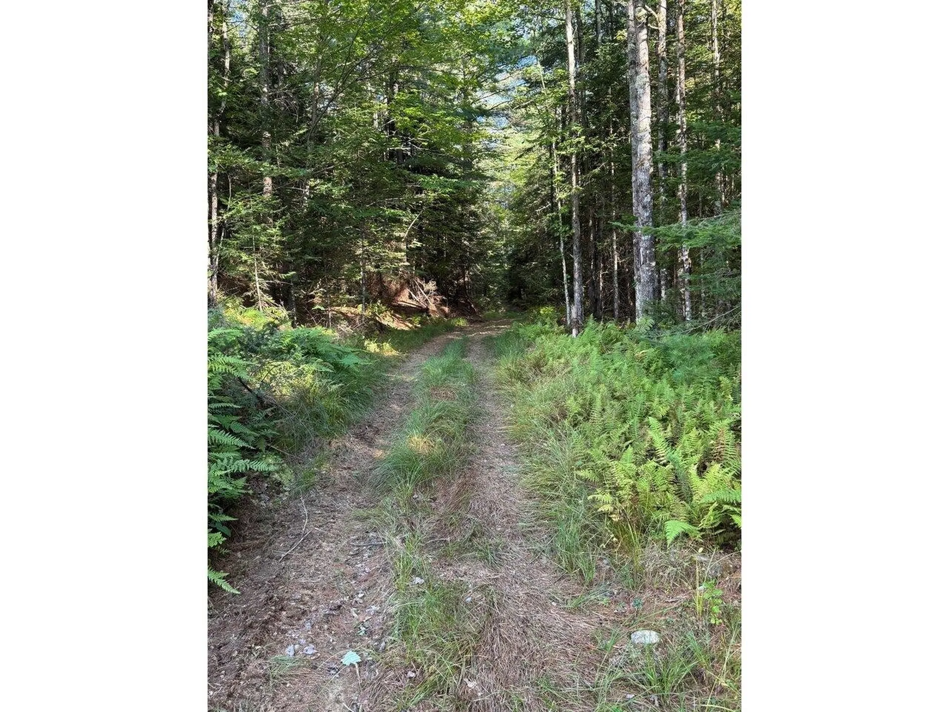 Lot 5 Milo's Place Worcester VT 05682