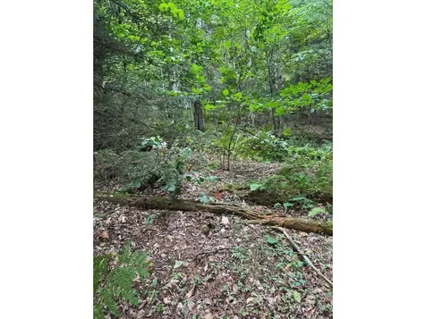 Lot 5 Milo's Place Worcester VT 05682