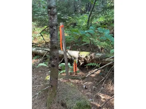 Lot 5 Milo's Place Worcester VT 05682