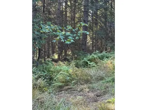 Lot 5 Milo's Place Worcester VT 05682