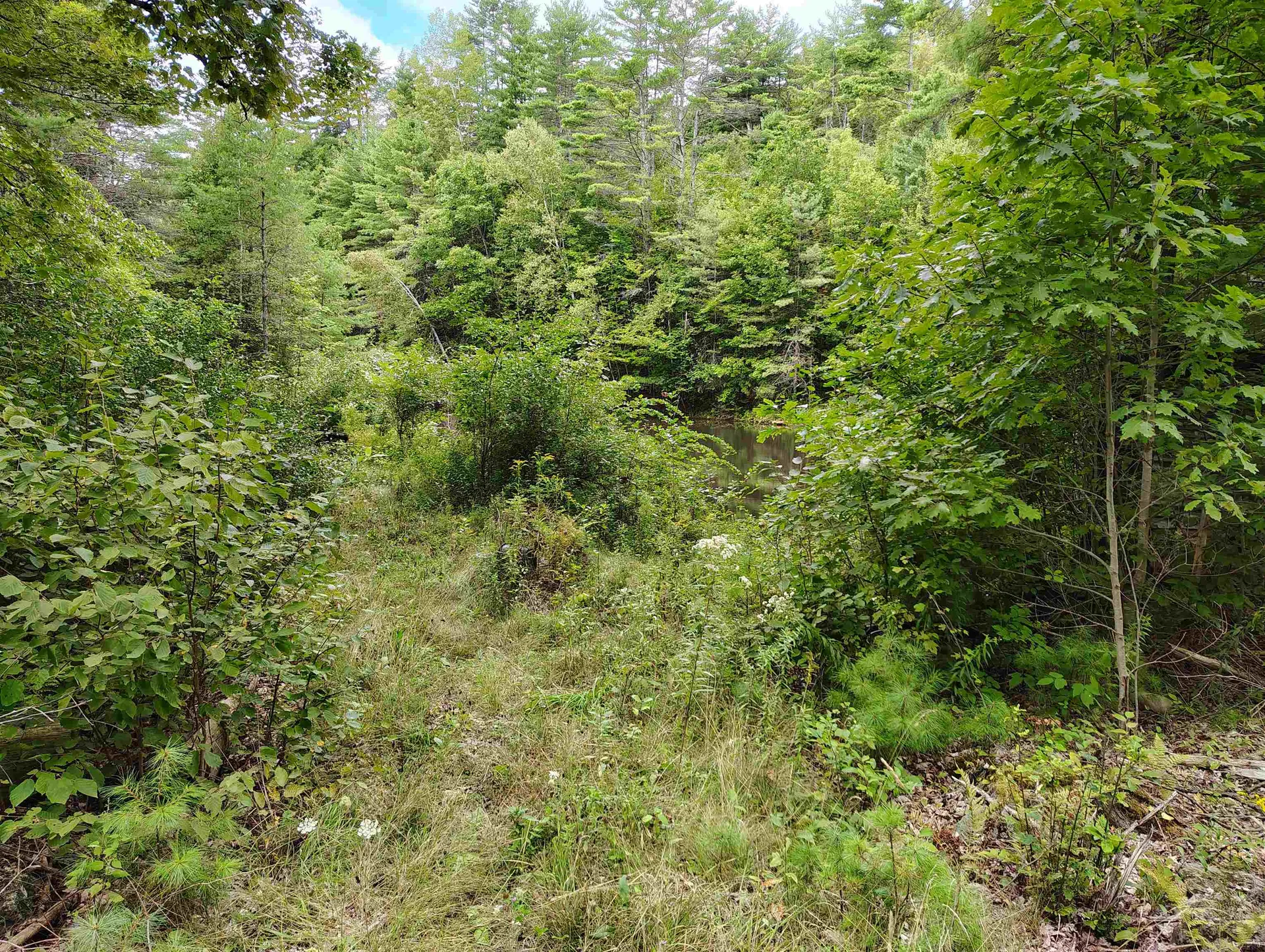 22 King Drive Plainfield NH 03780