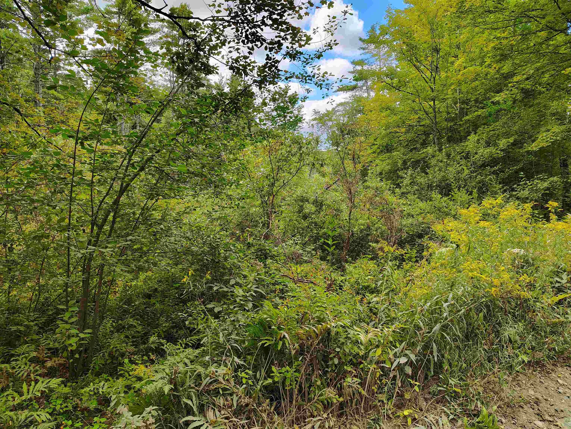 22 King Drive Plainfield NH 03780