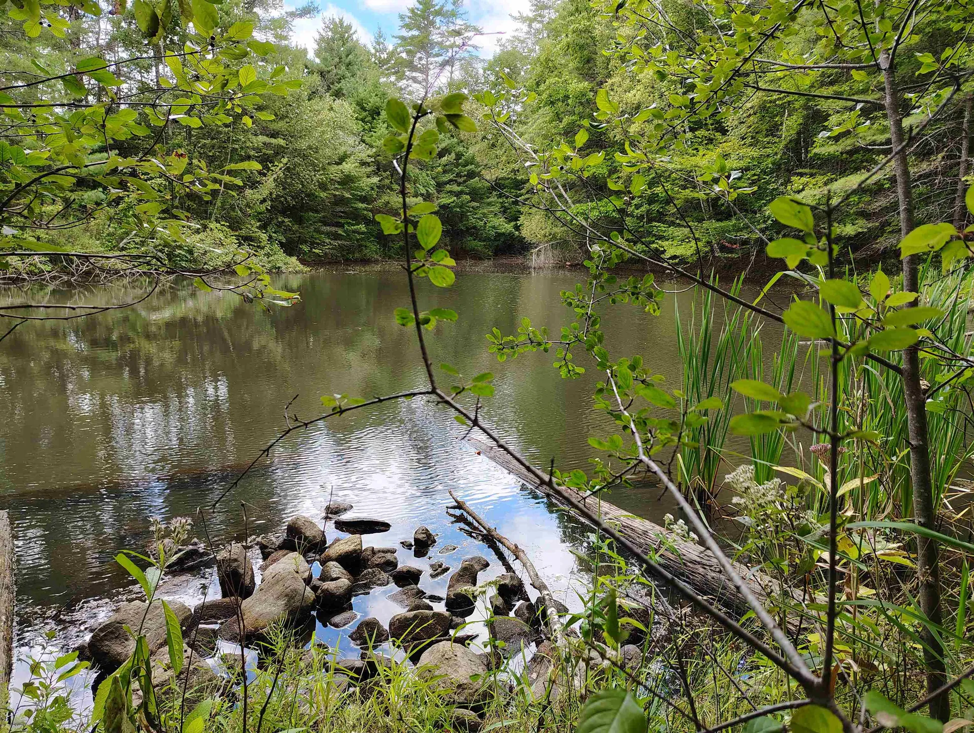 22 King Drive Plainfield NH 03780