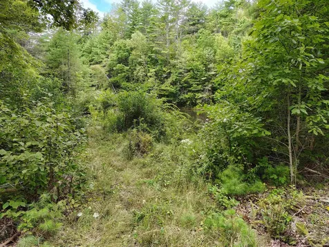 22 King Drive Plainfield NH 03780