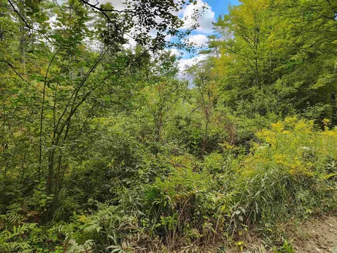 22 King Drive Plainfield NH 03780