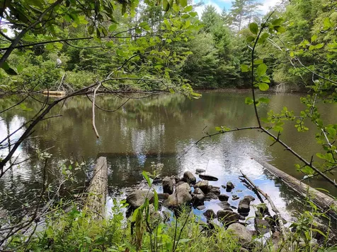 22 King Drive Plainfield NH 03780