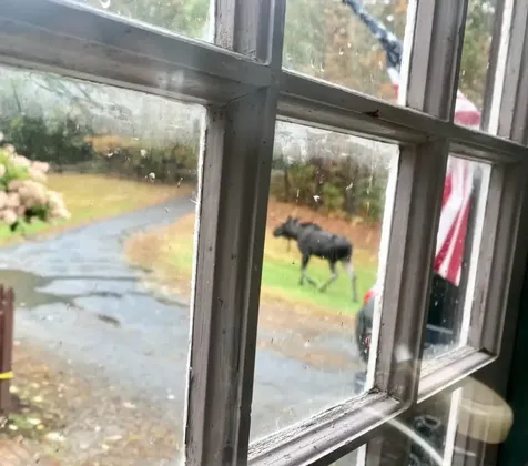 1222 Gov. Meldrim Thomson Scenic Highway Orford NH 03777