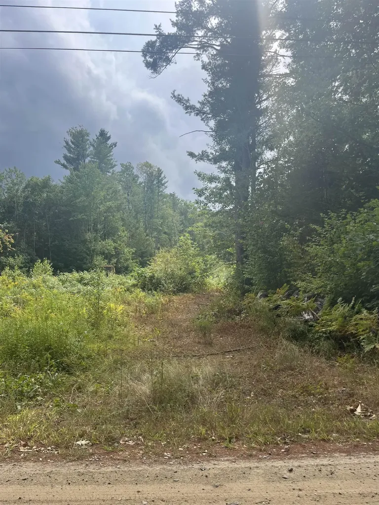 Lot 8 North Wakefield Road Wolfeboro NH 03894
