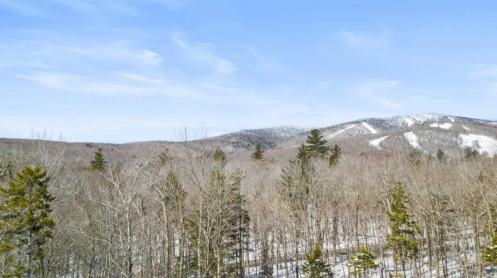 4 Gold Medal Circle Stratton VT 05155