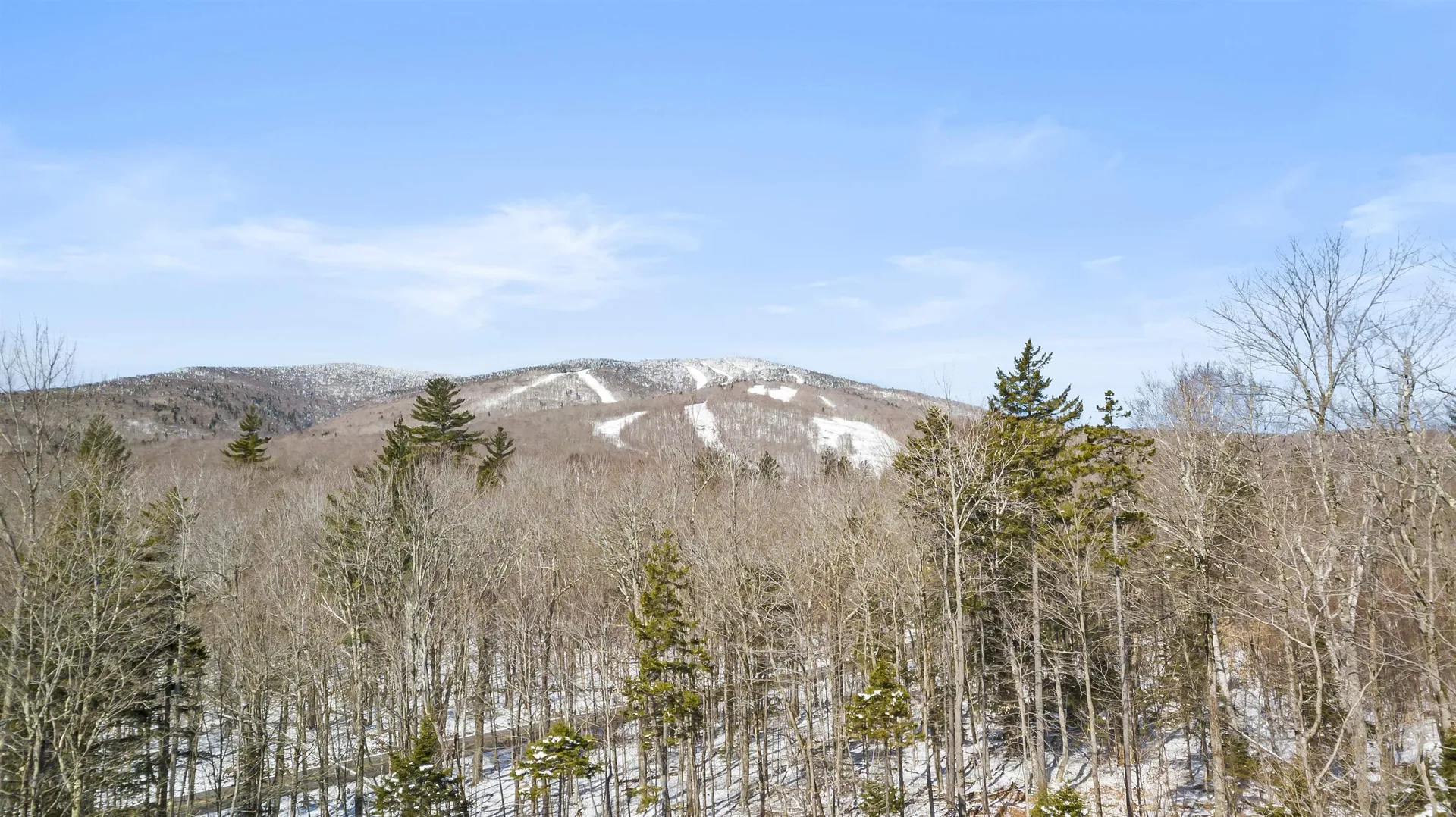 4 Gold Medal Circle Stratton VT 05155