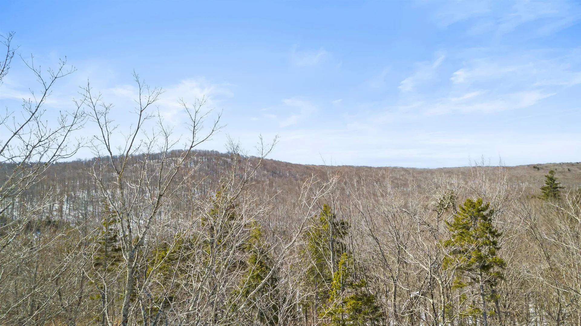 4 Gold Medal Circle Stratton VT 05155