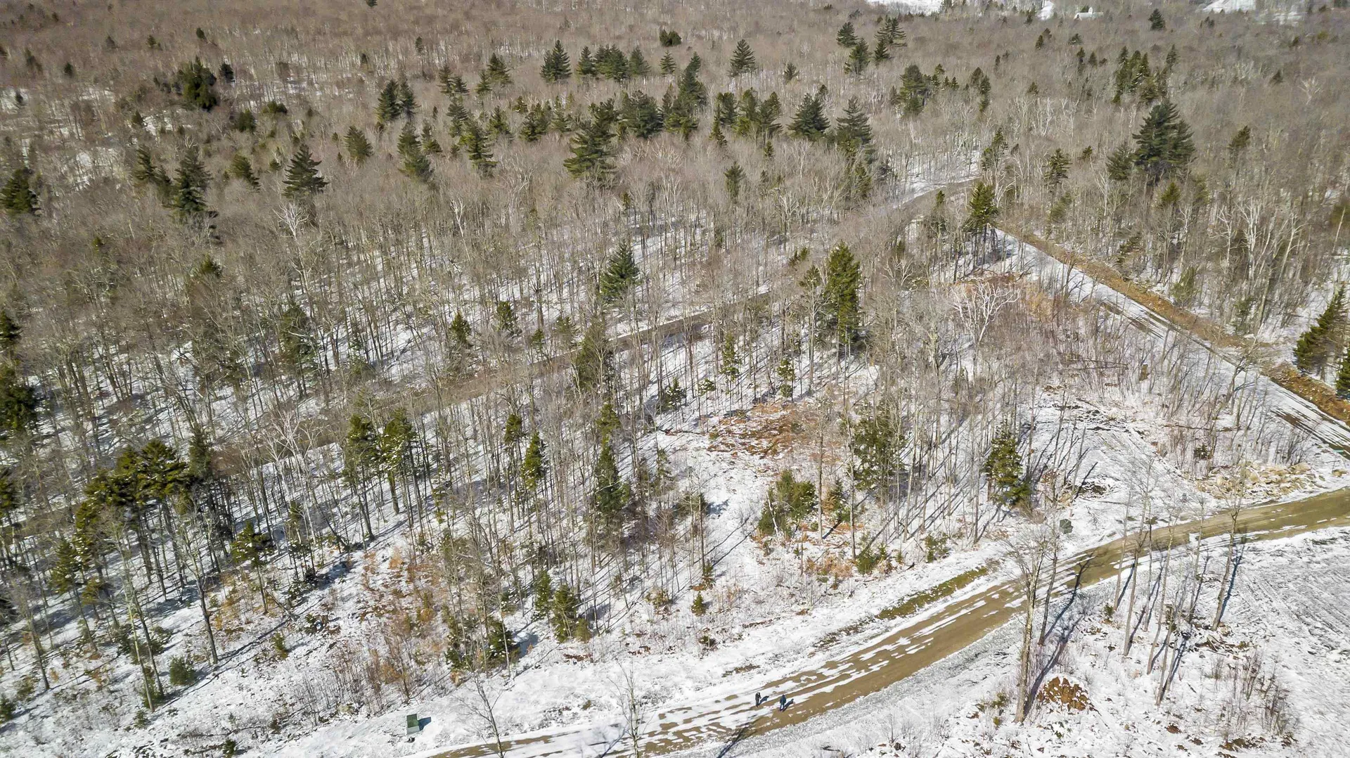 4 Gold Medal Circle Stratton VT 05155