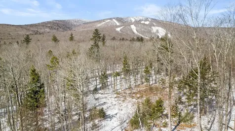 4 Gold Medal Circle Stratton VT 05155