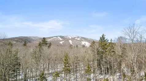 4 Gold Medal Circle Stratton VT 05155