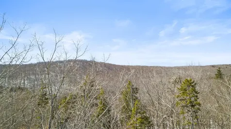 4 Gold Medal Circle Stratton VT 05155