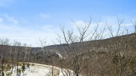 4 Gold Medal Circle Stratton VT 05155