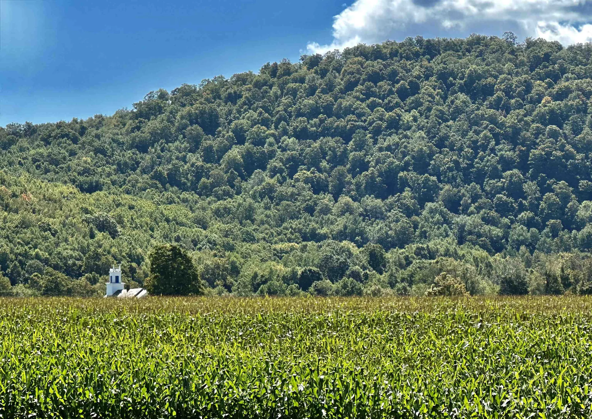 3264 Route 153 Rupert VT 05776