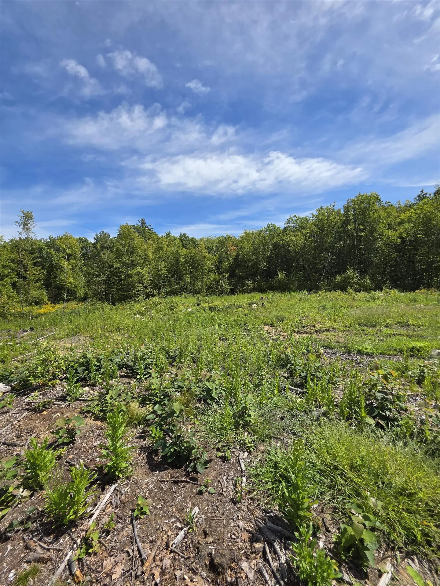 15 Hot Hole Pond Road Concord NH 03301