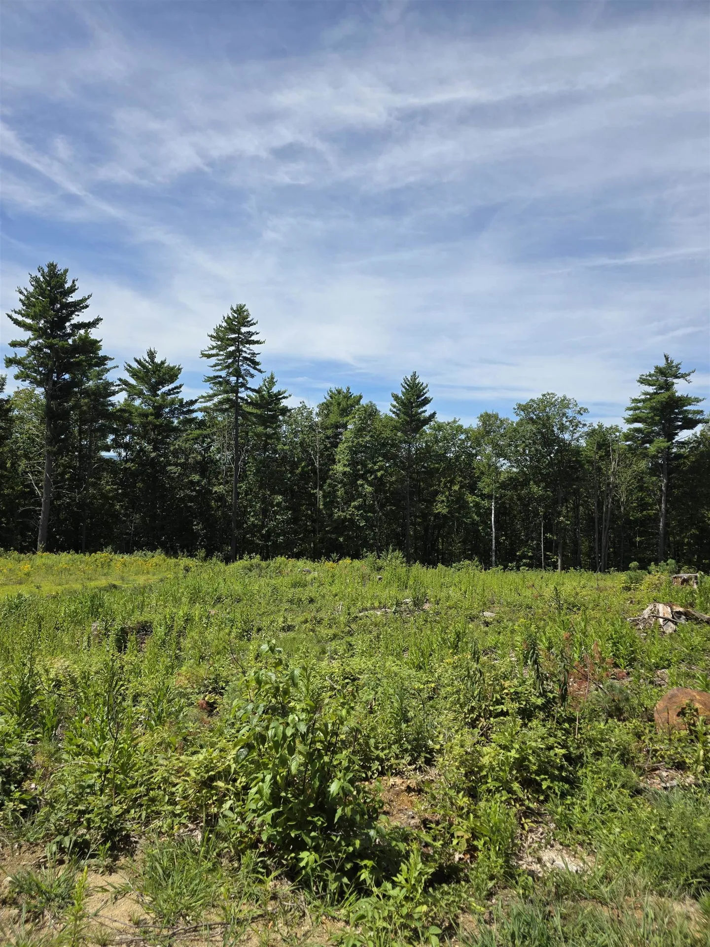 15 Hot Hole Pond Road Concord NH 03301