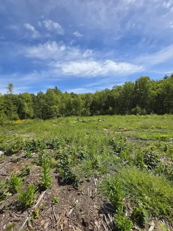 15 Hot Hole Pond Road Concord NH 03301