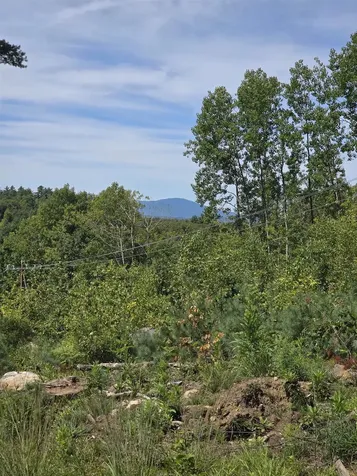 15 Hot Hole Pond Road Concord NH 03301