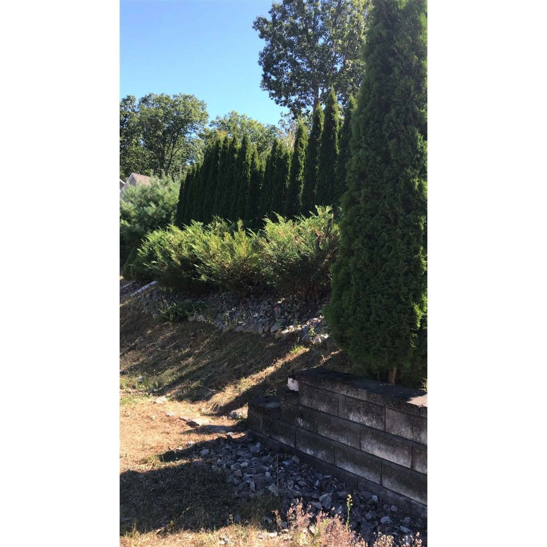 56 Sun Lake Drive Belmont NH 03220