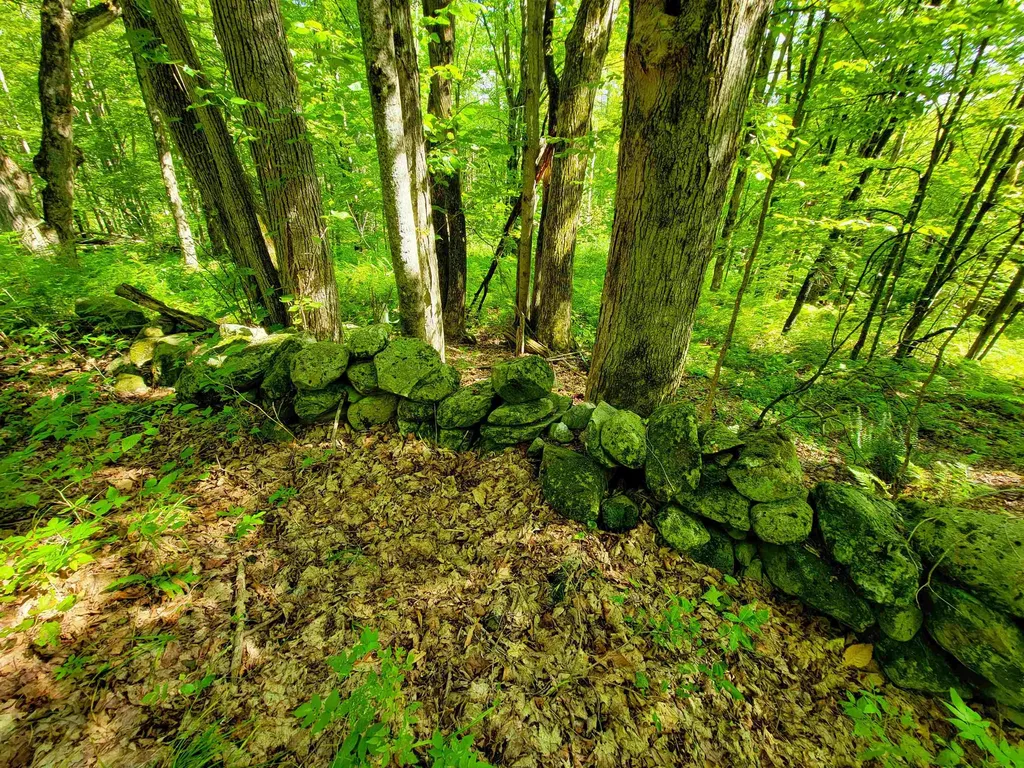 2309 Sherman Hollow Road Huntington VT 05462