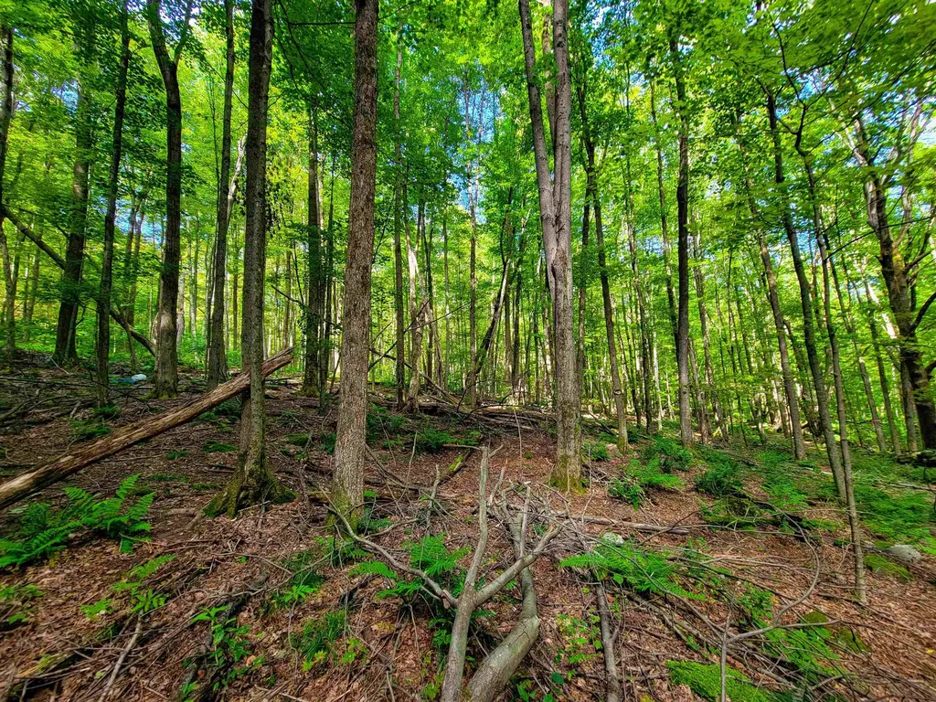 2309 Sherman Hollow Road Huntington VT 05462