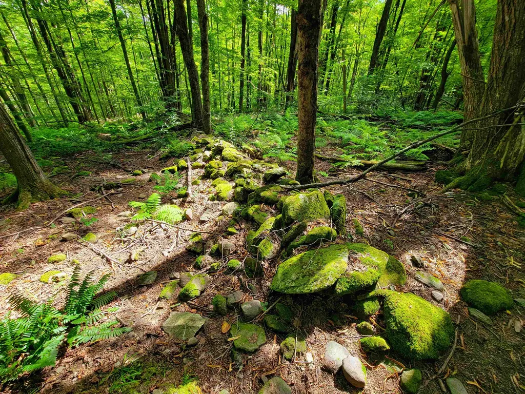 2309 Sherman Hollow Road Huntington VT 05462