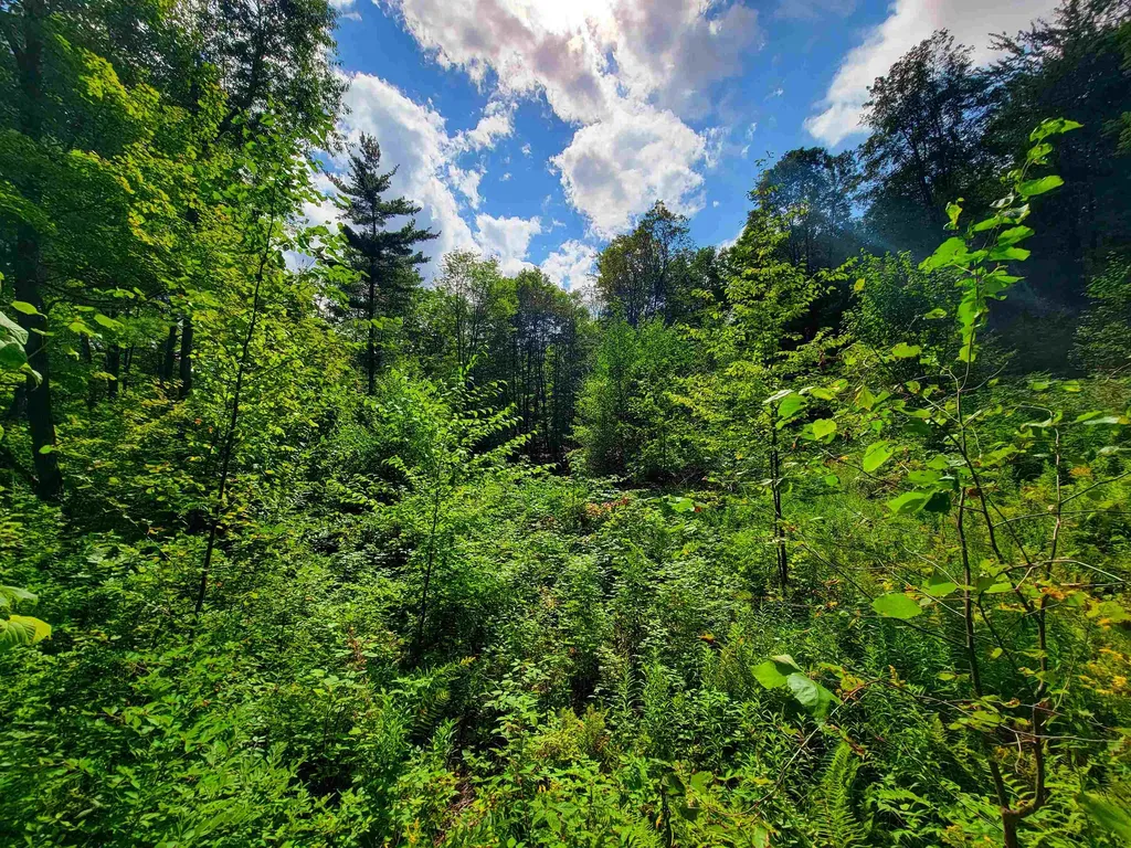 2309 Sherman Hollow Road Huntington VT 05462