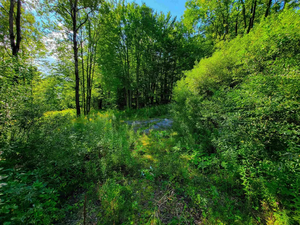 2309 Sherman Hollow Road Huntington VT 05462
